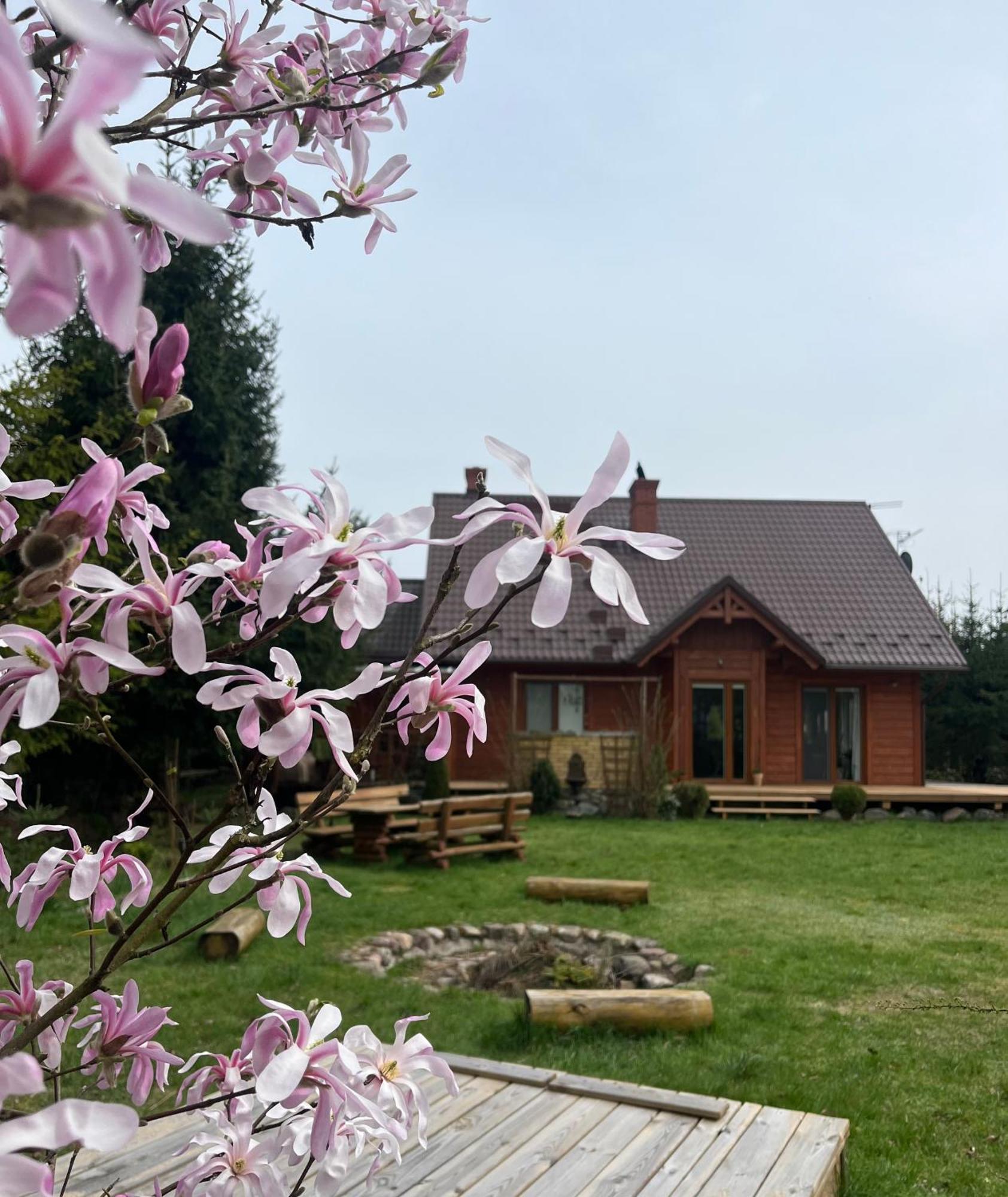 Drewniany Dom W Cudownej Okolicy "Twoja Ostoja" Vila Brusy Exterior foto